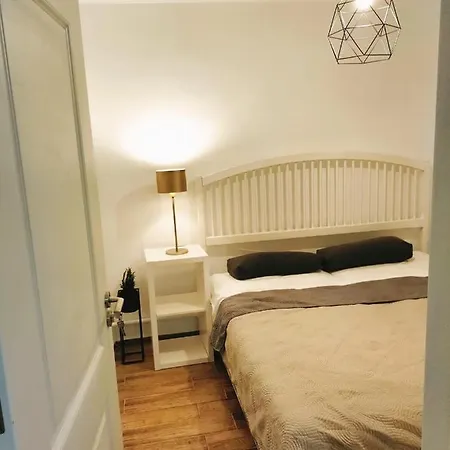 Apartment Swiss Central